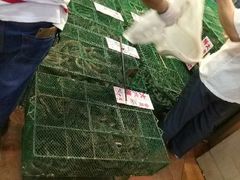 -荔城生鲜盛宴(番禺旗舰店)