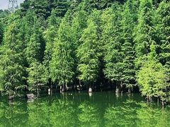 -广州市帽峰山景区