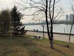 -长白岛森林公园