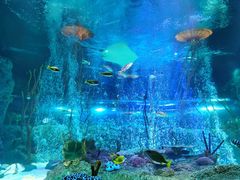 -沈阳海洋探索中心