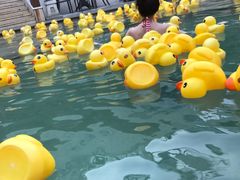 -苏州湾王焰温泉度假酒店