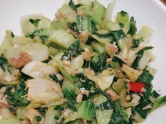 -高嗲嗲·现炒下饭菜(石鼓路店)