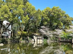 -南山植物园