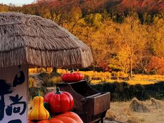 -塔川景区