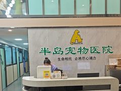 -半岛宠物医院24小时(科华中路店)