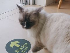 -美迦爱-牙专科·兔科·骨科诊疗中心(北苑店)