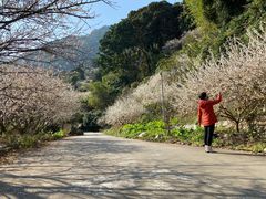 -广州市流溪河国家森林公园