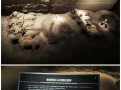 -秦始皇帝陵博物院-丽山园