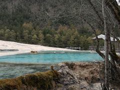 -黄龙山原始森林景区