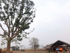 -良渚古城遗址公园