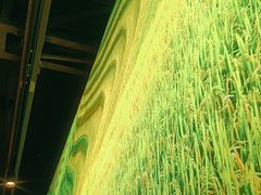 -云味馆·云南菜·云南米线(沙井华润店)