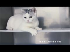 -瑞派长江宠物医院·猫科·外科·24小时夜护(谊城公寓分院)