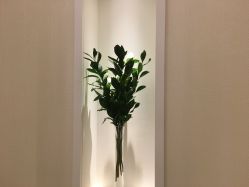 -奥斯芬·欧系贵族SPA