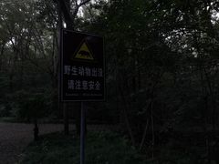 -紫金山山顶公园