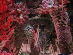 -沈阳海洋探索中心