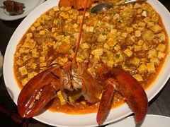 麻婆豆腐烧波士顿-甄御•海鲜新青岛菜(麦岛店)