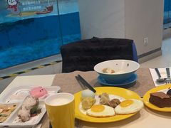 -帝企鹅自助餐厅•儿童岛•真企鹅(长隆企鹅酒店)