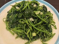 -百年家风·老馆子(东风店)