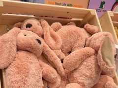 -TOYSRUS玩具反斗城(合肥华润万象城店)