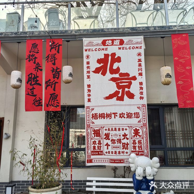 📌梧桐树下的咖啡☕｜不光香还超级浪漫