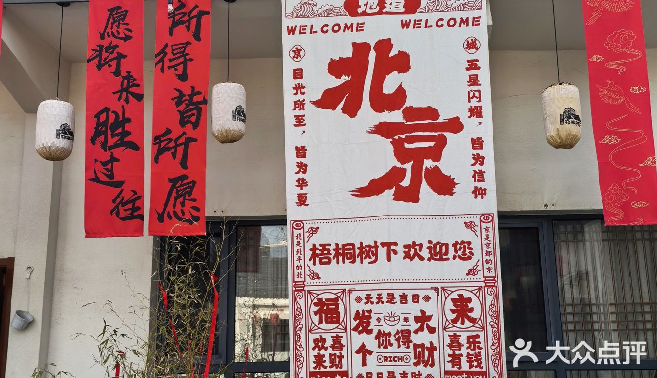 📌梧桐树下的咖啡☕｜不光香还超级浪漫