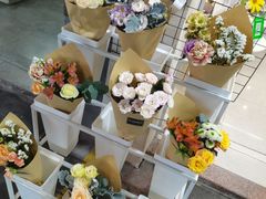 -溪岸路花鸟市场