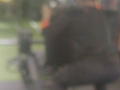 -冠军健身