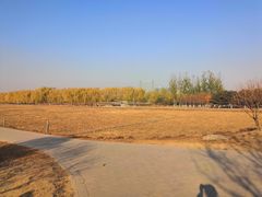 -大兴滨河森林公园