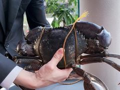 -Ministry of Crab•MOC(交子大道店)