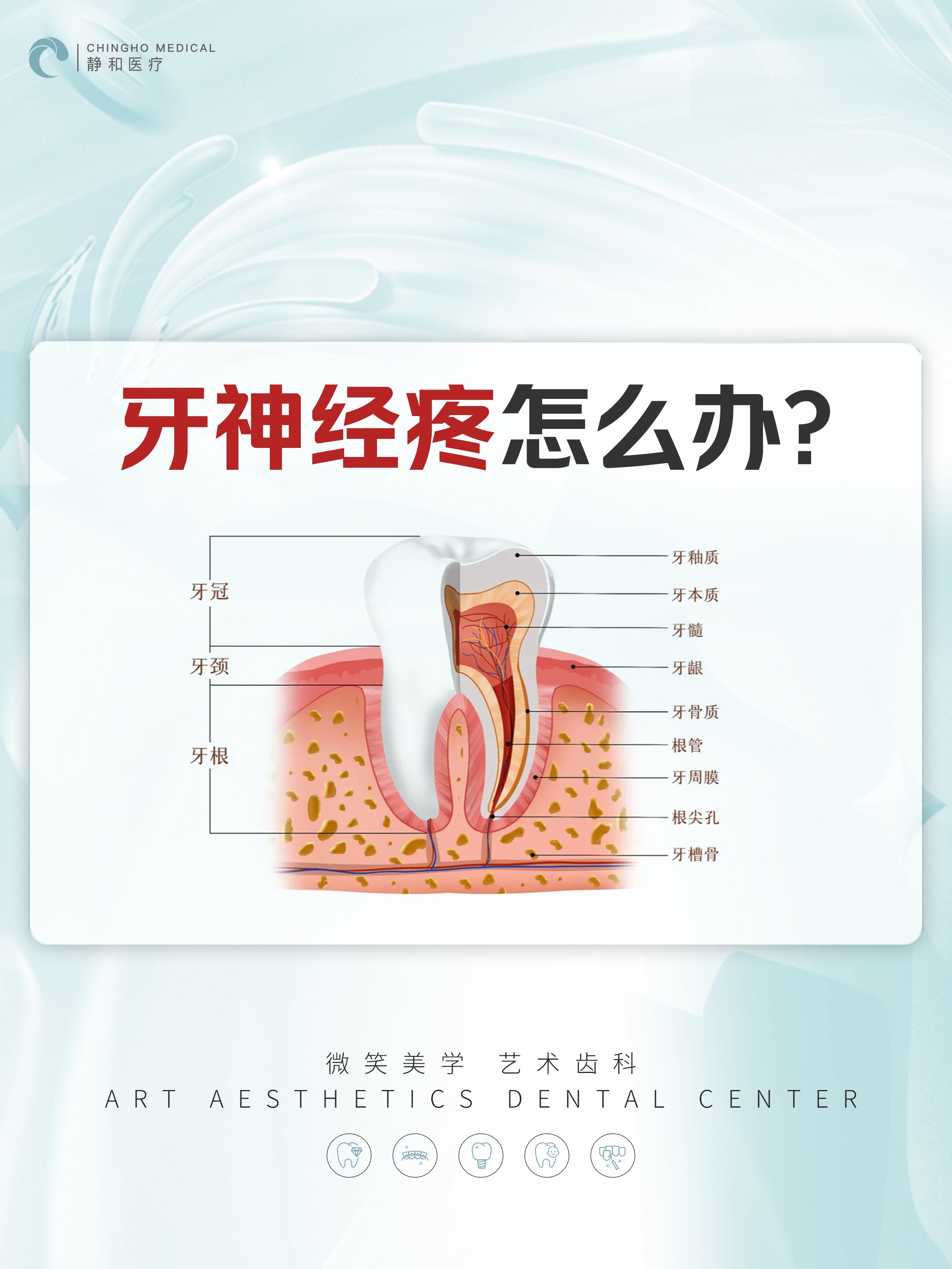 牙齿神经 外露图片