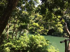 -广西龙虎山风景区