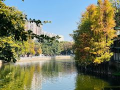 -荔湾湖公园
