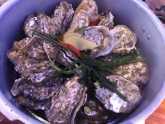 -千岛蚝高压锅生蚝·人参火锅(白云万达店)