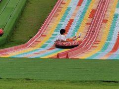 -黄海国家森林公园
