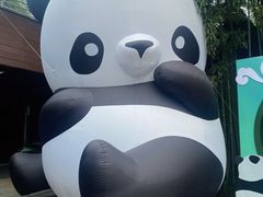-杭州植物园