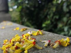 -杭州城北体育公园