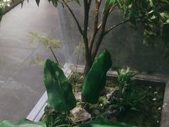 -吴家·非遗淮扬小馆(镇江万达广场店)