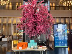 -成都安仁福朋喜来登酒店