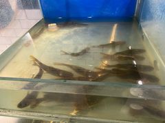 -钦瓦台时尚自助餐厅(银泰城店)