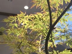 -王府茶楼茶宴·创意菜(朝阳公园店)