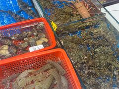 -船奇蒸汽海鲜·闽菜(八市海鲜总店)