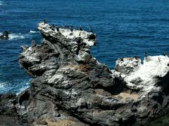 龙头岩-龙头岩(Dragon Head Rock)