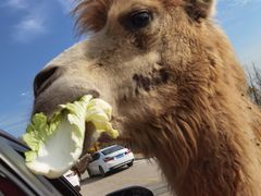 -南京金牛湖风景区
