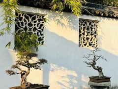 -西园戒幢律寺