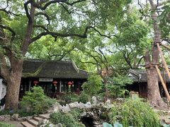 -上海醉白池公园