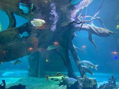 -华夏文旅海洋公园