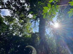 -七仙岭温泉国家森林公园