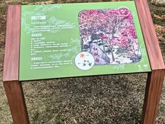 -广州市帽峰山景区
