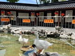 -龙华寺