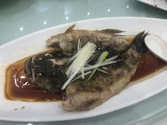 -梅龙镇酒家(南京西路总店)